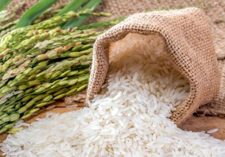 برنج هندی قیمت